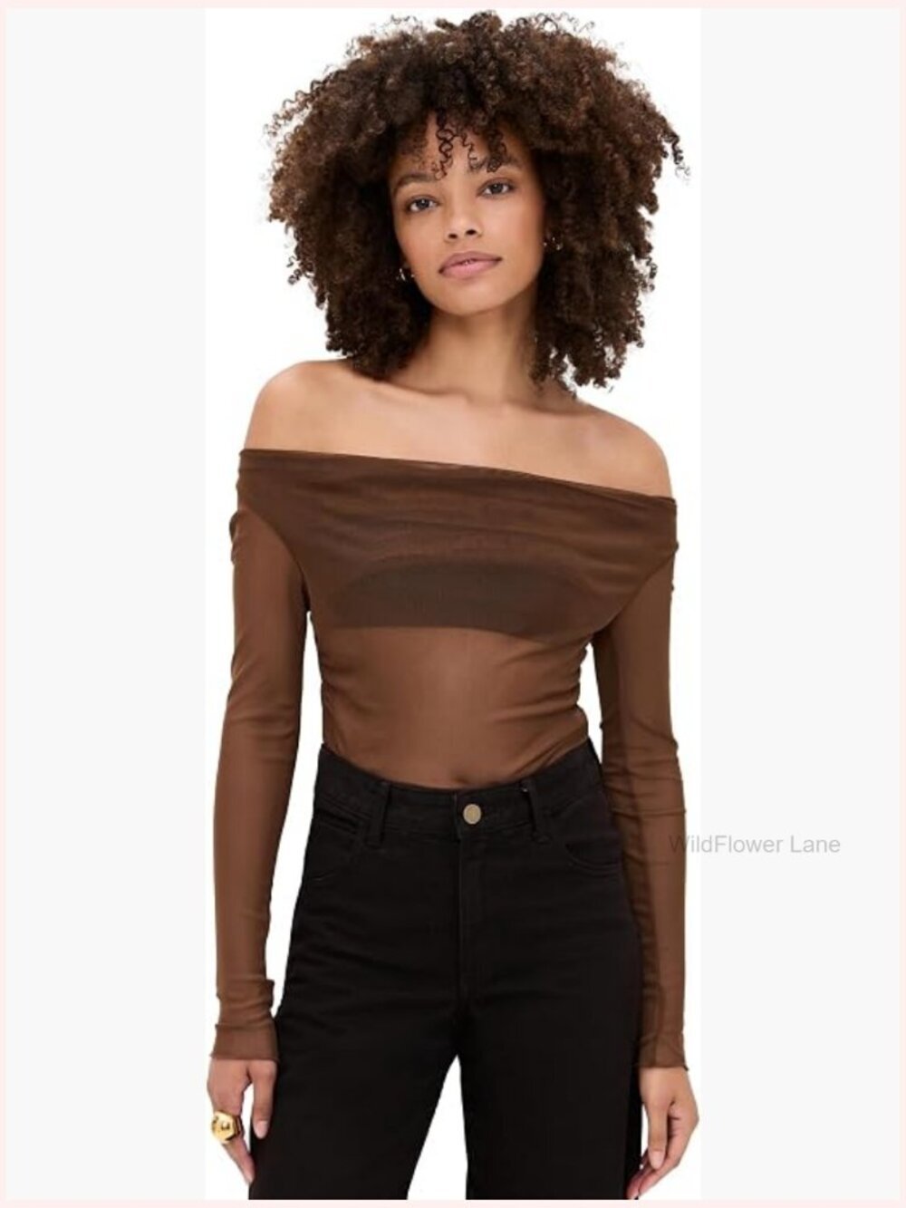 Off Shoulder Long Sleeve Mesh Top Ruched Waist Fitted